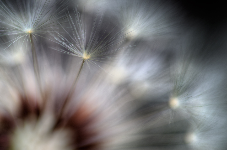 New Work: “fireworks”